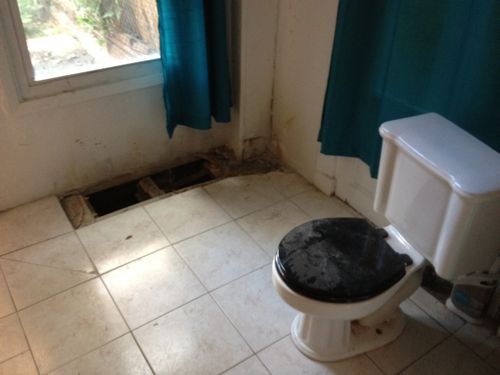 Kitchen Toilets are a symptom of the modern condition